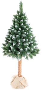 Aga Vánoční stromeček 160 cm s kmenem