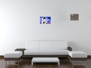 Obraz na plátne Audrey Hepburn, Jakub Banas Veľkosť: 55 x 115 cm