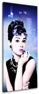 Obraz na plátne Audrey Hepburn, Jakub Banas Veľkosť: 55 x 115 cm
