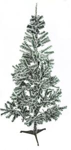 Vianočný stromček Aga jedľa bielo - zelená 180 cm