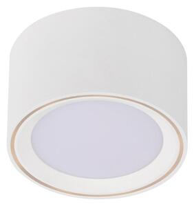 Nordlux FALLON 6 | stropné LED svietidlo s funkciou MOODMAKER Farba: Biela