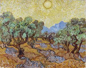 Obrazová reprodukcia Olive Trees (1889), Vincent van Gogh