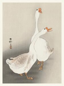 Umelecká tlač Two Geese (Japandi Vintage) - Ohara Koson, (30 x 40 cm)