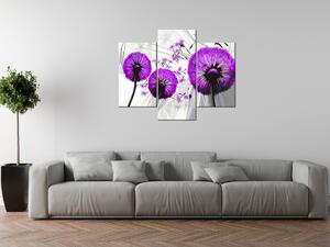 Gario 3 dielny obraz na plátne Krásne fialové púpavy Veľkosť: 90 x 30 cm