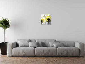 Obraz na plátne Krásne žlté púpavy Rozmery: 80 x 120 cm