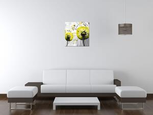 Obraz na plátne Krásne žlté púpavy Rozmery: 60 x 40 cm