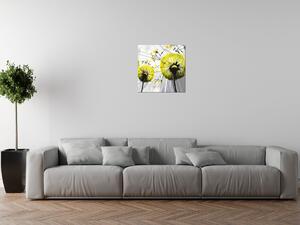 Obraz na plátne Krásne žlté púpavy Rozmery: 40 x 60 cm