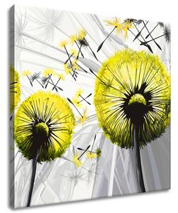 Obraz na plátne Krásne žlté púpavy Rozmery: 100 x 70 cm