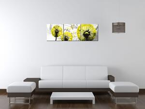 Obraz na plátne Krásne žlté púpavy - 3 dielny Rozmery: 90 x 60 cm