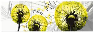 Obraz na plátne Krásne žlté púpavy - 3 dielny Rozmery: 150 x 50 cm