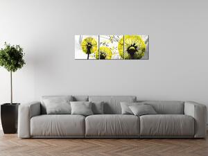 Obraz na plátne Krásne žlté púpavy - 3 dielny Rozmery: 90 x 30 cm