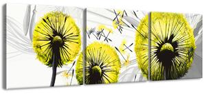 Obraz na plátne Krásne žlté púpavy - 3 dielny Veľkosť: 150 x 50 cm