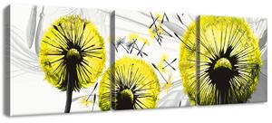 Obraz na plátne Krásne žlté púpavy - 3 dielny Veľkosť: 90 x 30 cm