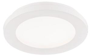 Trio CAMILLUS R 17 | Stropné LED svietidlo s postupným stmievačom Farba: Biela