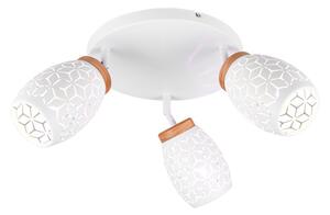 Stropné svetlo Reality Bidar biela R61573331