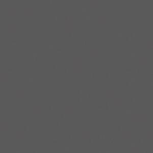 Šatníková skriňa s výsuvom PRIMO GRAY, 1781 x 800 x 420 mm, sivá/grafit