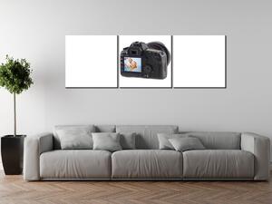 3 dielny fotoobraz na plátne Rozmery: 90 x 60 cm