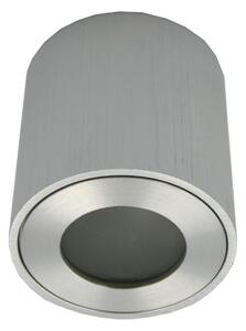 Vonkajšie bodové svietidlo FARA 1xGU10/30W/230V IP54 strieborné