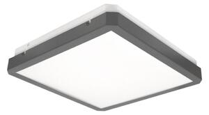 LED Stropné svietidlo so senzorom RAVA LED/38W/230V 4000K 41x41 cm antracit