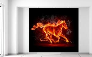 Gario Fototapeta Ohnivý kôň Veľkosť: 268 x 240 cm, Materiál: Latexová