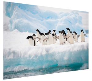 Gario Fototapeta Skupina tučniakov Veľkosť: 200 x 135 cm, Materiál: Latexová