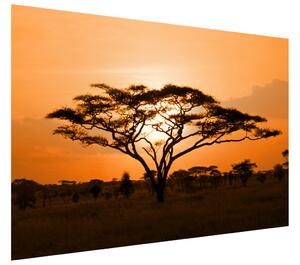 Gario Fototapeta Nádherná africká krajina Veľkosť: 200 x 135 cm, Materiál: Latexová