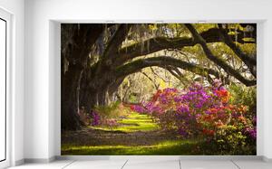 Gario Fototapeta Silné duby a kvety Veľkosť: 200 x 135 cm, Materiál: Latexová