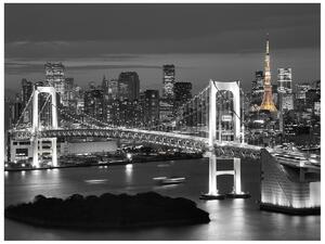 Gario Fototapeta Most Tokyo Bay Veľkosť: 268 x 100 cm, Materiál: Latexová