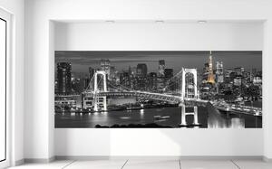 Gario Fototapeta Most Tokyo Bay Veľkosť: 268 x 100 cm, Materiál: Latexová