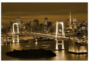 Gario Fototapeta Rainbow Bridge Tokio Veľkosť: 200 x 135 cm, Materiál: Latexová