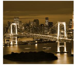 Gario Fototapeta Rainbow Bridge Tokio Veľkosť: 200 x 150 cm, Materiál: Vliesová