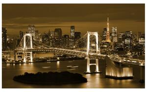 Gario Fototapeta Rainbow Bridge Tokio Veľkosť: 268 x 240 cm, Materiál: Latexová