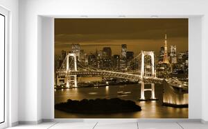 Gario Fototapeta Rainbow Bridge Tokio Veľkosť: 200 x 150 cm, Materiál: Vliesová