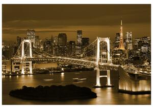 Gario Fototapeta Rainbow Bridge Tokio Veľkosť: 402 x 240 cm, Materiál: Latexová