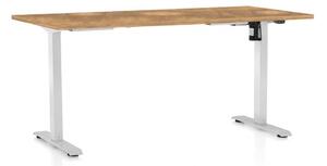 Výškovo nastaviteľný stôl OfficeTech A, 160 x 80 cm, biela podnož, dub zlatý