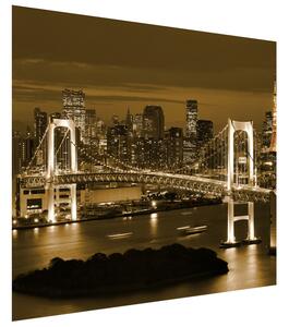 Gario Fototapeta Rainbow Bridge Tokio Veľkosť: 268 x 240 cm, Materiál: Latexová