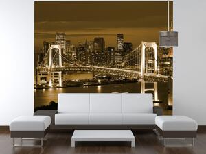 Gario Fototapeta Rainbow Bridge Tokio Veľkosť: 200 x 135 cm, Materiál: Latexová