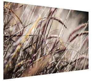 Gario Fototapeta V tráve - Nina Matthews Veľkosť: 200 x 135 cm, Materiál: Latexová