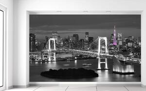 Fototapeta Nočný pohľad na Tokio Materiál: Samolepiaca, Rozmery: 536 x 240 cm