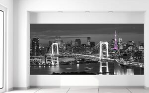 Fototapeta Nočný pohľad na Tokio Materiál: Samolepiaca, Veľkosť: 536 x 240 cm