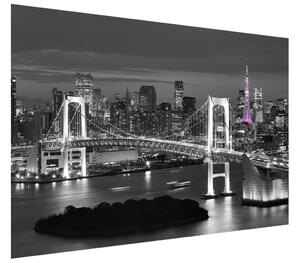 Fototapeta Nočný pohľad na Tokio Materiál: Samolepiaca, Rozmery: 536 x 240 cm