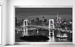 Fototapeta Nočný pohľad na Tokio Materiál: Samolepiaca, Rozmery: 402 x 240 cm