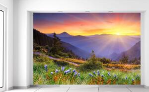 Gario Fototapeta Lúka v horách Veľkosť: 200 x 150 cm, Materiál: Latexová