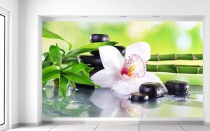 Gario Fototapeta Biela orchidea a kamene Veľkosť: 402 x 240 cm, Materiál: Samolepiaca