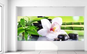 Fototapeta Biela orchidea a kamene Materiál: Samolepiaca, Veľkosť: 268 x 100 cm