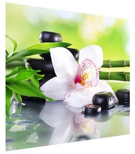 Fototapeta Biela orchidea a kamene Materiál: Samolepiaca, Rozmery: 200 x 135 cm