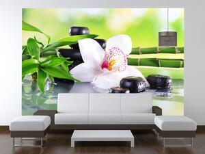Gario Fototapeta Biela orchidea a kamene Veľkosť: 268 x 100 cm, Materiál: Latexová