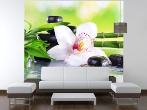 Gario Fototapeta Biela orchidea a kamene Veľkosť: 402 x 240 cm, Materiál: Vliesová