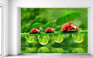 Gario Fototapeta Lienky s dáždnikmi Veľkosť: 200 x 135 cm, Materiál: Samolepiaca
