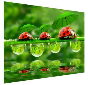 Gario Fototapeta Lienky s dáždnikmi Veľkosť: 200 x 135 cm, Materiál: Samolepiaca